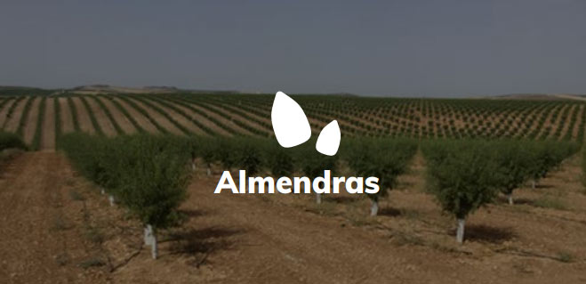 almendras