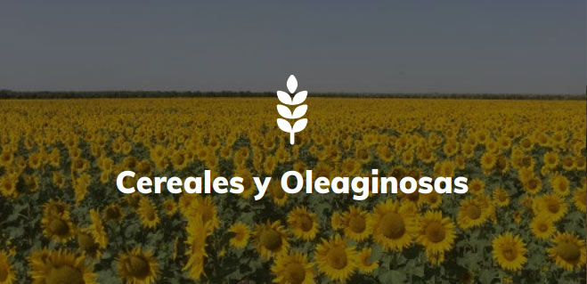 cereales y oleaginosas