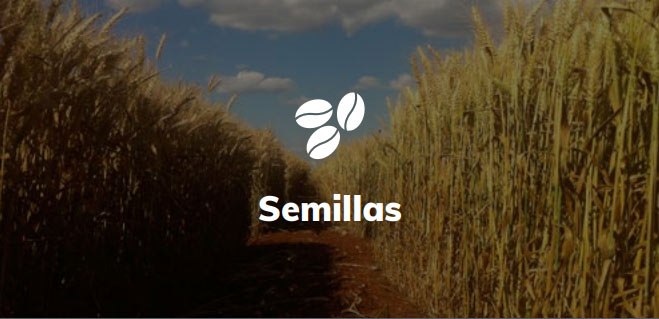 semillas